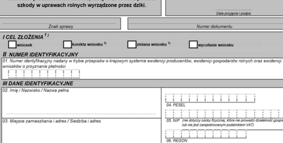 ARiMR przyjmuje wnioski od rolników z podlaskiego, którym dziki zniszczyły pola