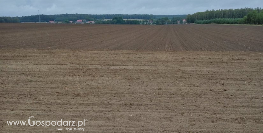 Ministerstwo Finansów ws. zwolnienia z podatku rolnego gruntów objętych w trwałe zagospodarowanie na podstawie umowy dzierżawy od osoby fizycznej