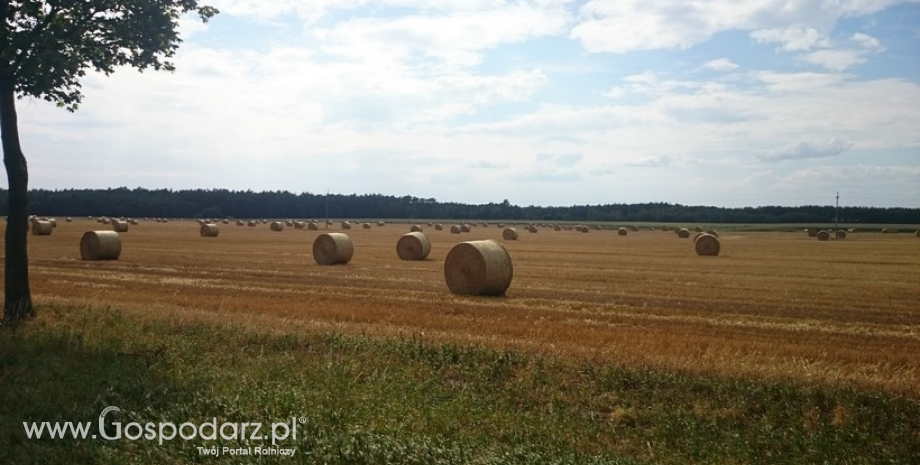 Kontrole na miejscu zakończone