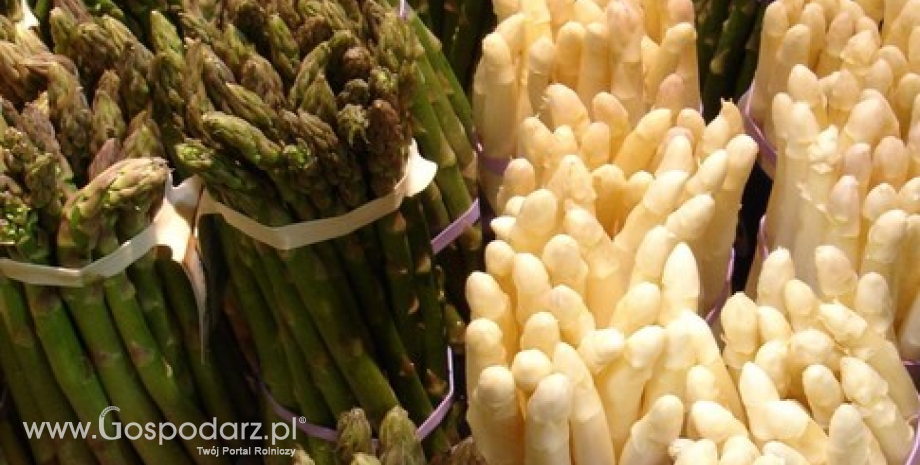 Złota era szparagów?