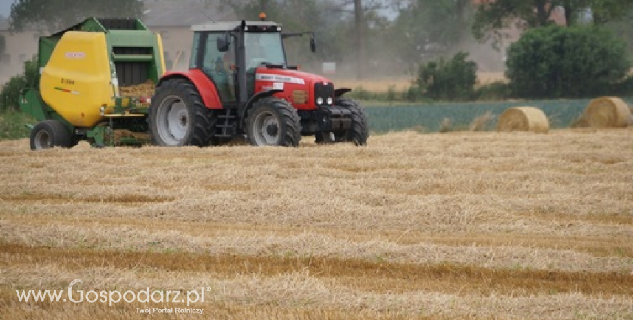 Notowania zbóż i oleistych. Spadkowy tydzień dla zbóż i oleistych (4.09.2015)