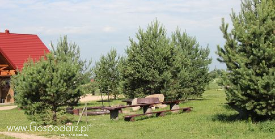 Zagroda edukacyjna - nowe możliwości i niezliczone korzyści