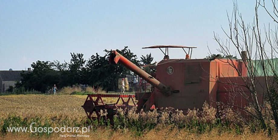 Ceny zbóż w Polsce na giełdach towarowych (22-28.09.2014)
