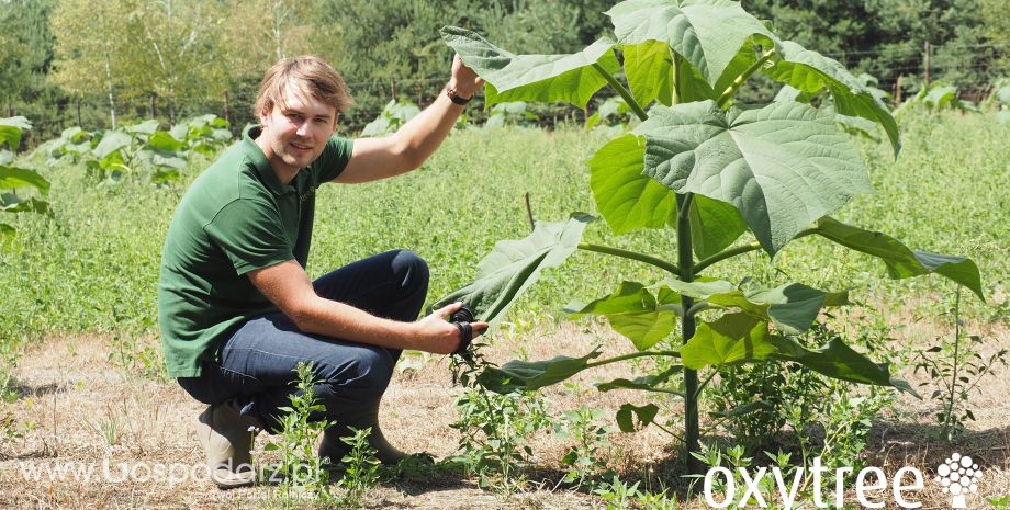 Dzień Otwarty na Plantacji Oxytree!