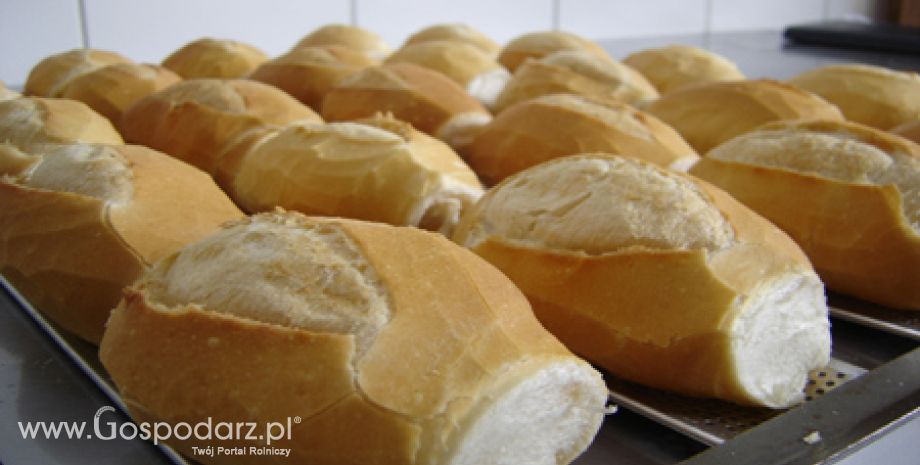 IX Warszawskie Święta Chleba