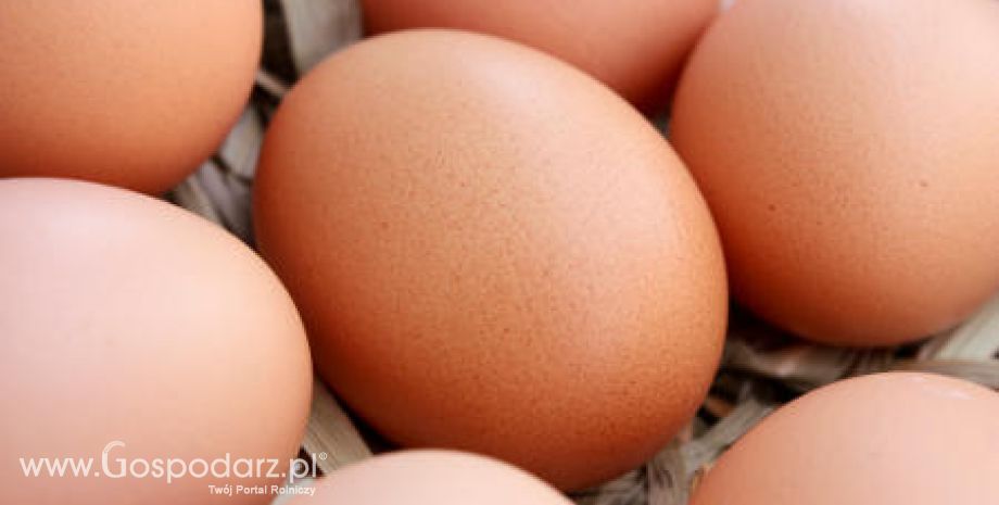 W tym roku Polacy zjedzą więcej jaj