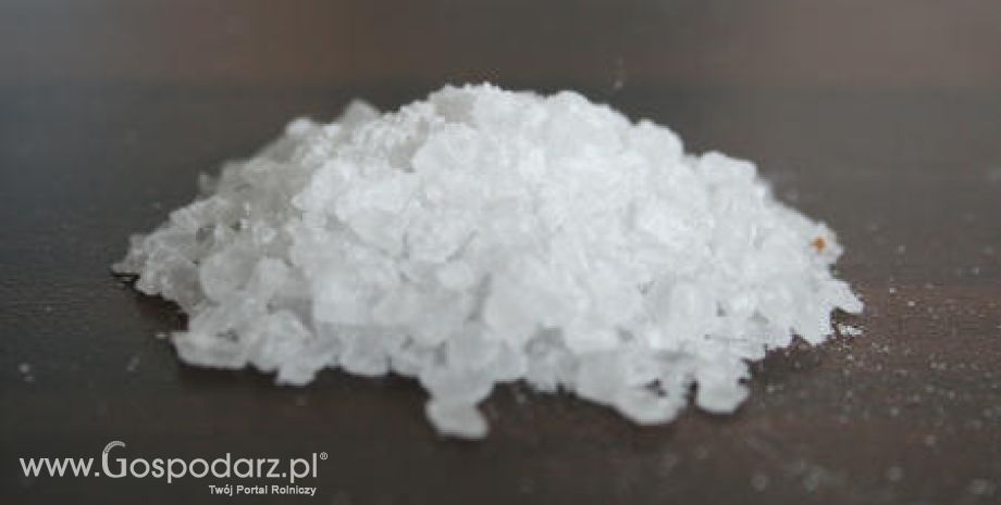 Ocena użycia soli wypadowej w produkcji żywności