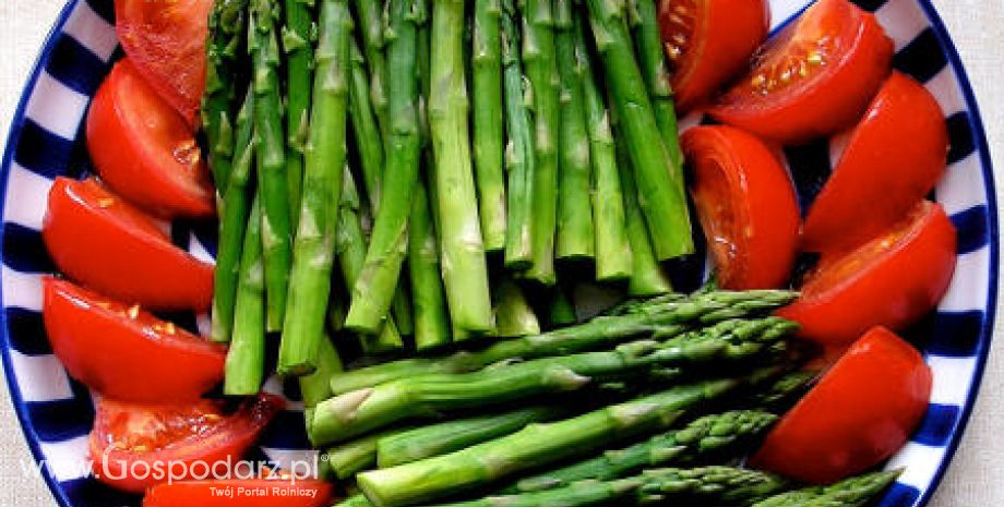 Europejska produkcja szparagów