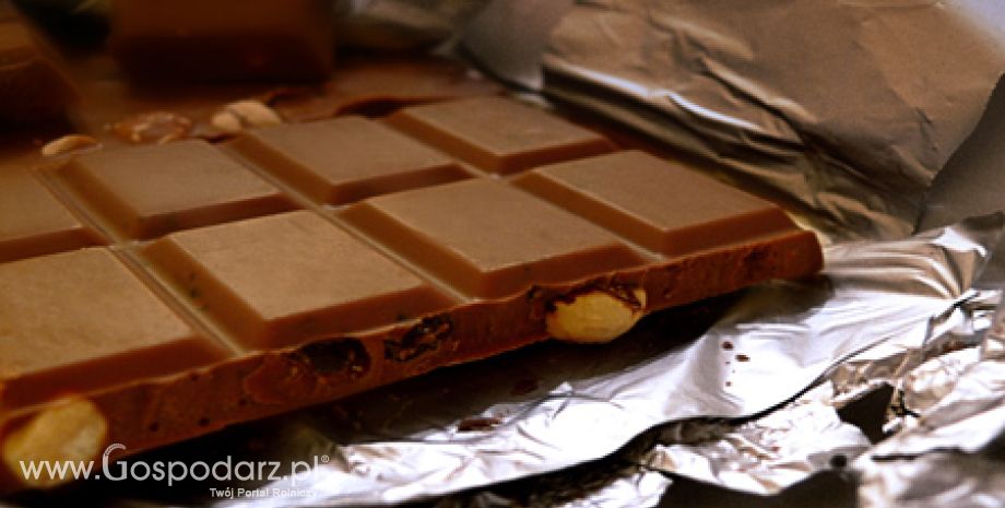 Wyniki kontroli planowej w zakresie jakości handlowej wyrobów czekoladowych