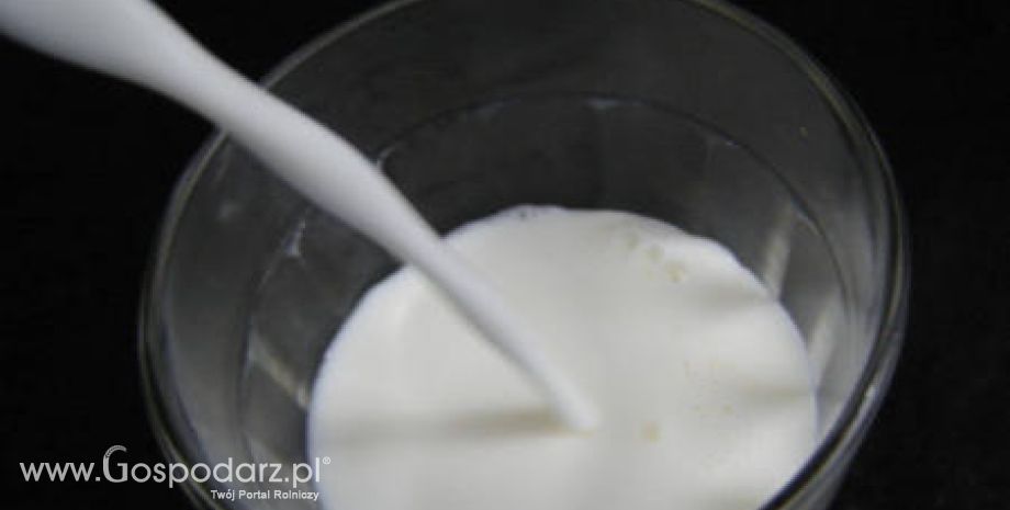 Wzrosty cen skupu polskiego mleka