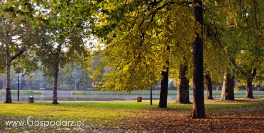 Park Historyczny „Trylogia