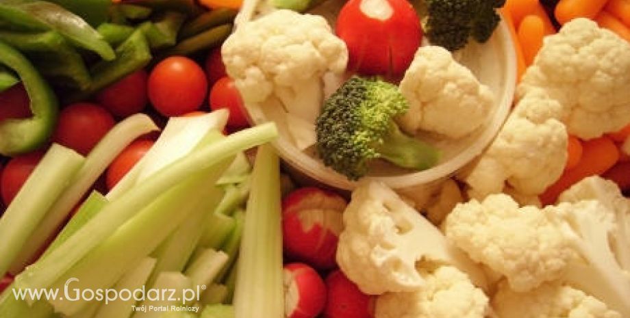 Belgia – Wzrost eksportu warzyw