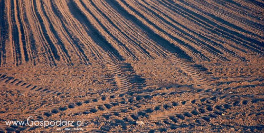 ANR zarobiła 245 mln zł za tereny inwestycyjne w 2011 r.