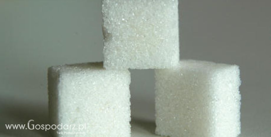 Wzrost produkcji cukru na świecie