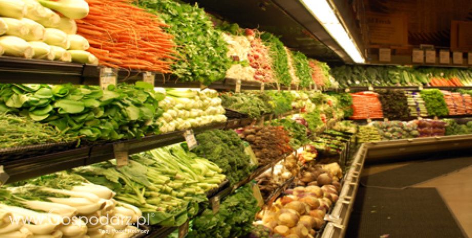 Główny Inspektorat Ochrony Roślin i Nasiennictwa w sprawie eksportu warzyw do Federacji Rosyjskiej