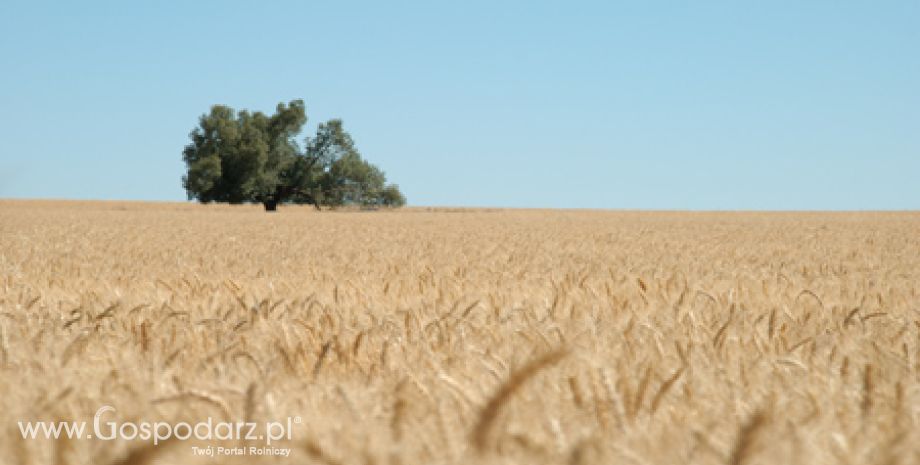 15 maja minął podstawowy termin złożenia wniosków o przyznanie dopłat bezpośrednich, wsparcia ONW i płatności rolnośrodowiskowych za 2012r.