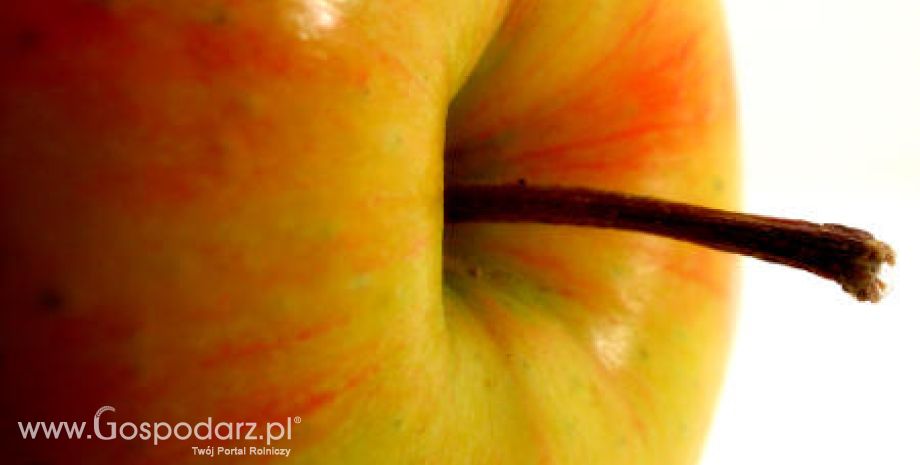 Zapasy jabłek w Unii Europejskiej są niższe niż w zeszłym roku
