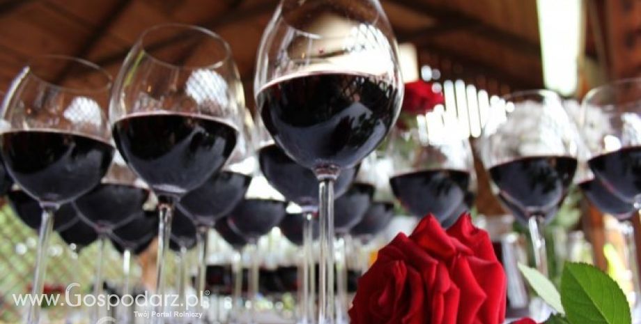 Certyfikacja wina z określonego rocznika lub wina z określonej odmiany winorośli