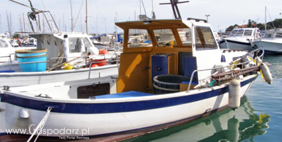 Od 1 sierpnia ARiMR wznawia przyjmowanie wniosków o przyznanie pomocy na dostosowanie floty rybackiej do możliwości połowowych