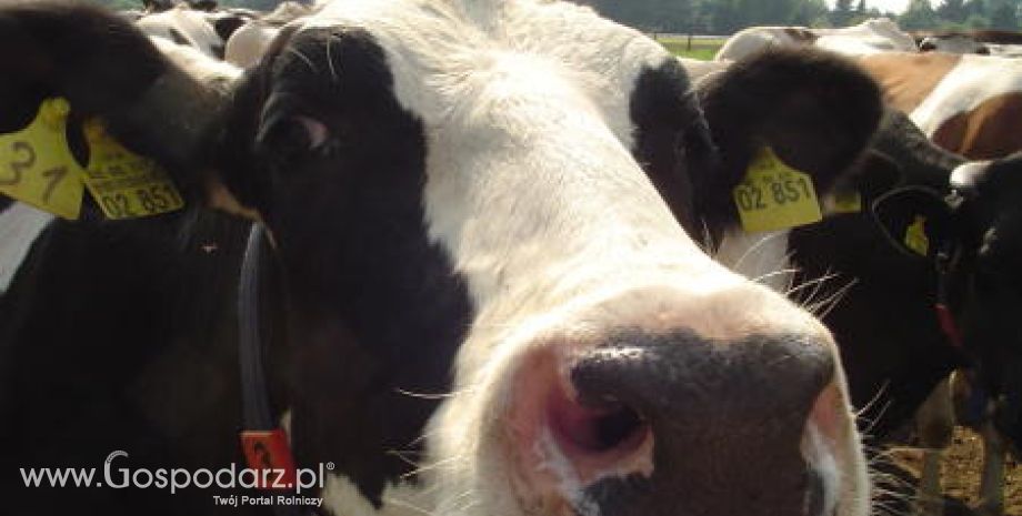 Zapraszamy na Międzynarodowe Targi Hodowli Zwierząt FARMA!
