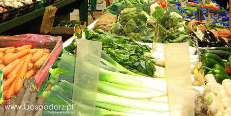 Rosja – Ograniczenia w imporcie unijnych warzyw zostały zniesione