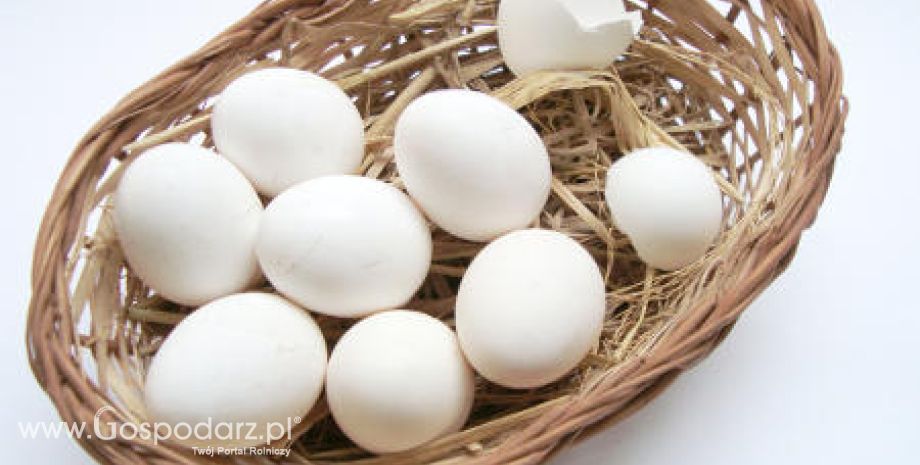 Tegorocznym hitem na wielkanocnych stołach mogą być białe jajka
