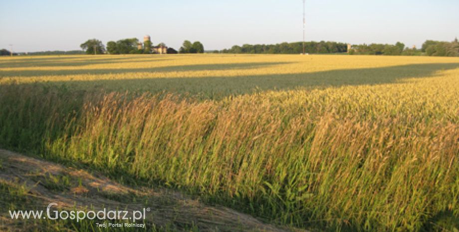 Nowe możliwości powiększenia gospodarstw rolnych