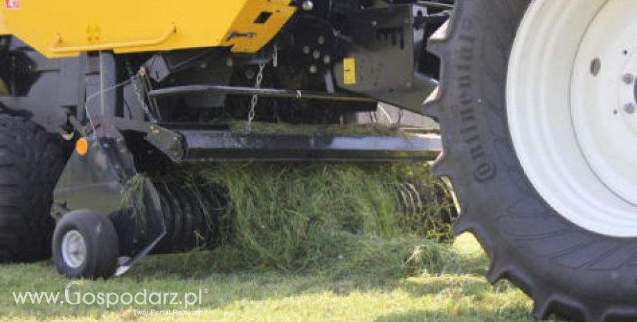 Polskie Zboża i Zielone Agro Show w ten weekend!