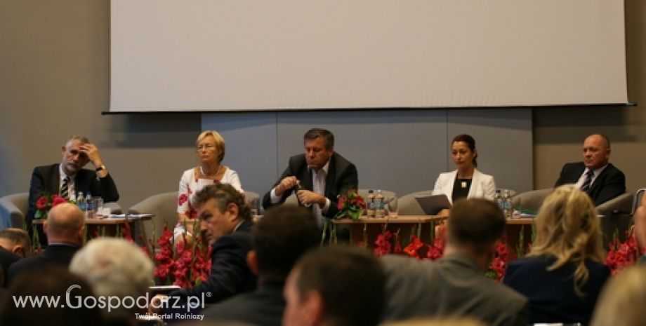 Narada Ambasadorów RP. Polskie placówki dyplomatyczne a wsparcie promocji gospodarczej