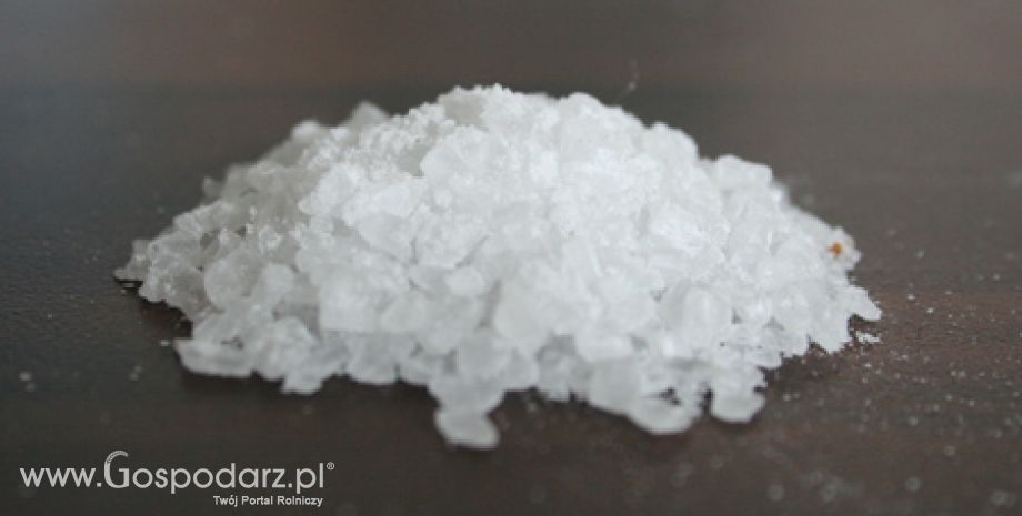 Sprzedaż soli wypadowej do zakładów przetwórstwa spożywczego