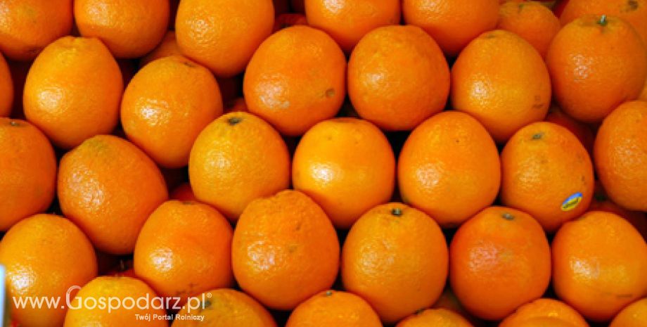 Oznakowania na opakowaniach owoców i warzyw eksportowanych z Polski do Federacji Rosyjskiej