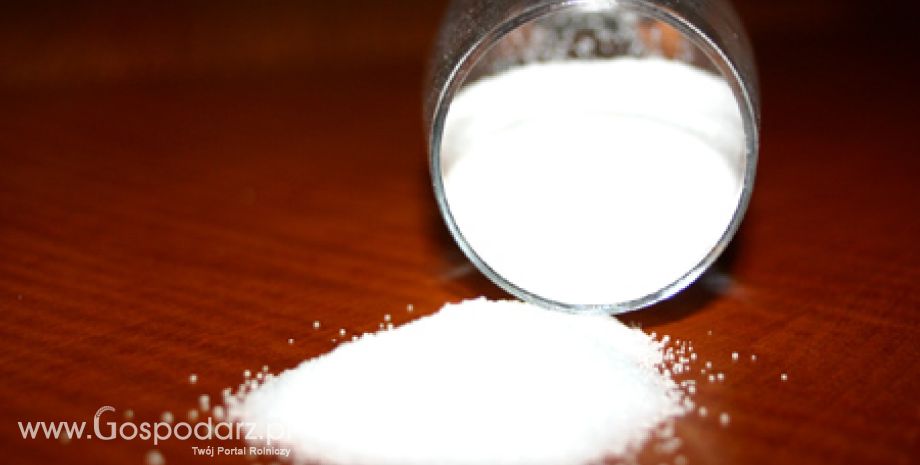 Spotkanie w sprawie OSN (azotanów)