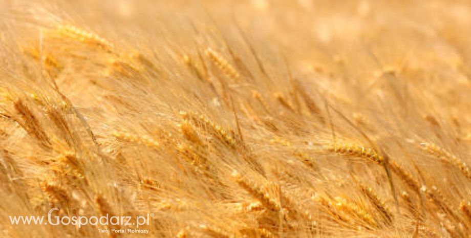 Spotkanie z Zarządem Europejskiej Federacji Producentów Pasz
