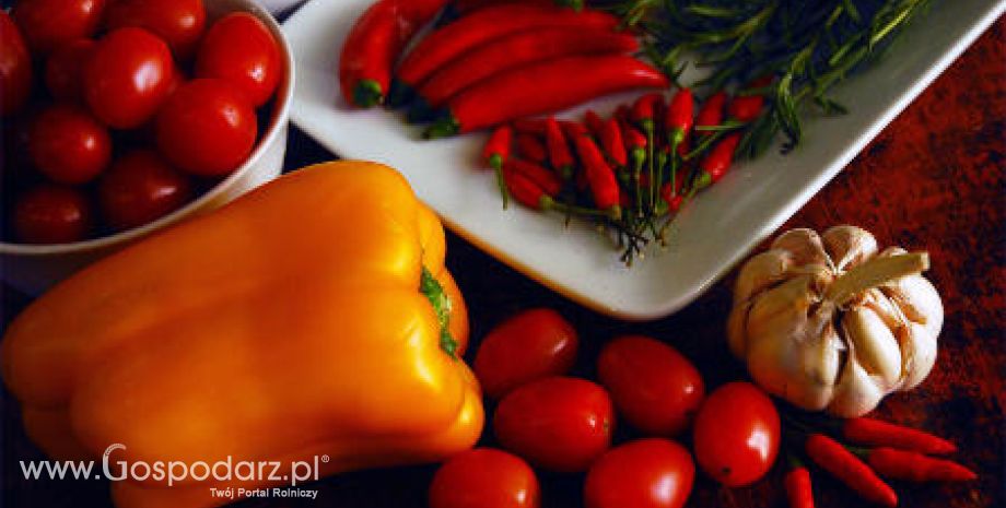 Tegoroczne zbiory warzyw będą wyższe