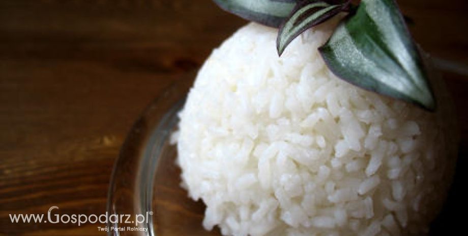 W najbliższym czasie ryż będzie taniał