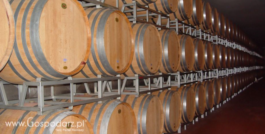 Informacja dla producentów i przedsiębiorców wyrabiających wino z winogron pochodzących z upraw winorośli położonych na terytorium Polski