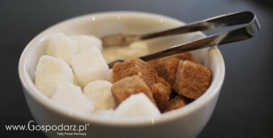 Indie – Będzie zwiększony wolumen eksportowy cukru?