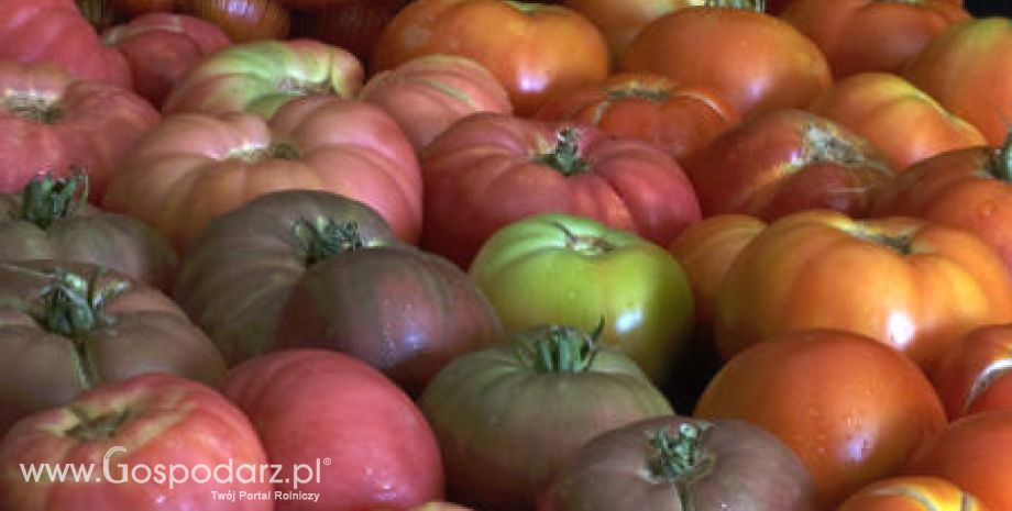 Portugalskie Azory – Strefa wolna od GMO