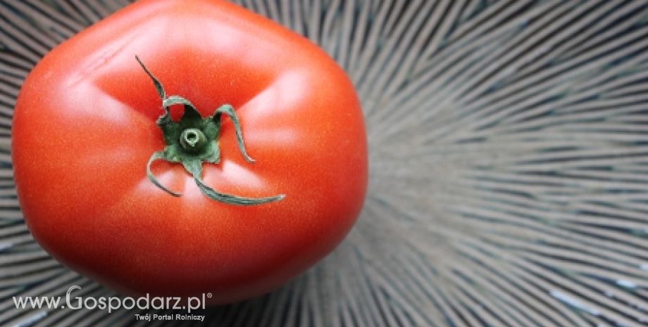 Niemcy – Niebezpieczne warzywa