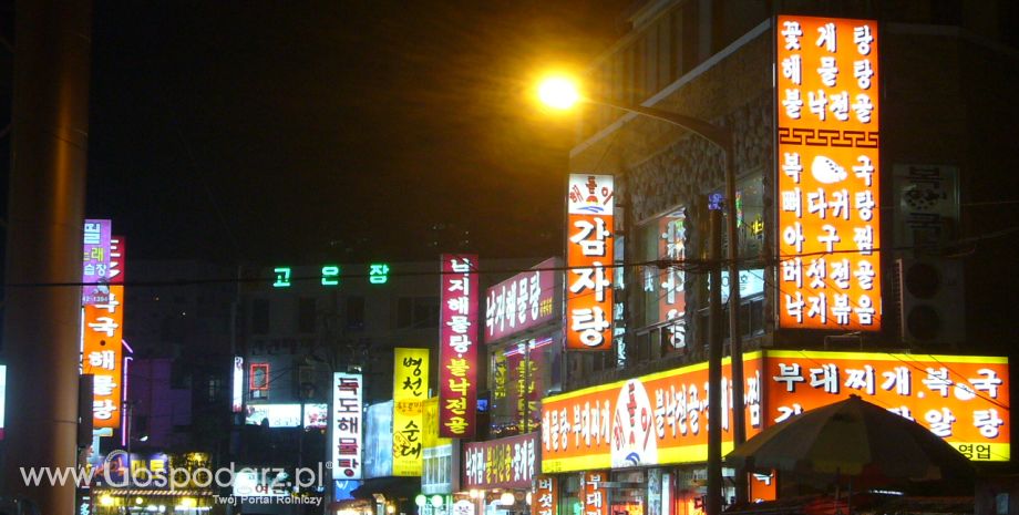 Korea Południowa – Wzrasta liczba zachorowań na pryszczycę