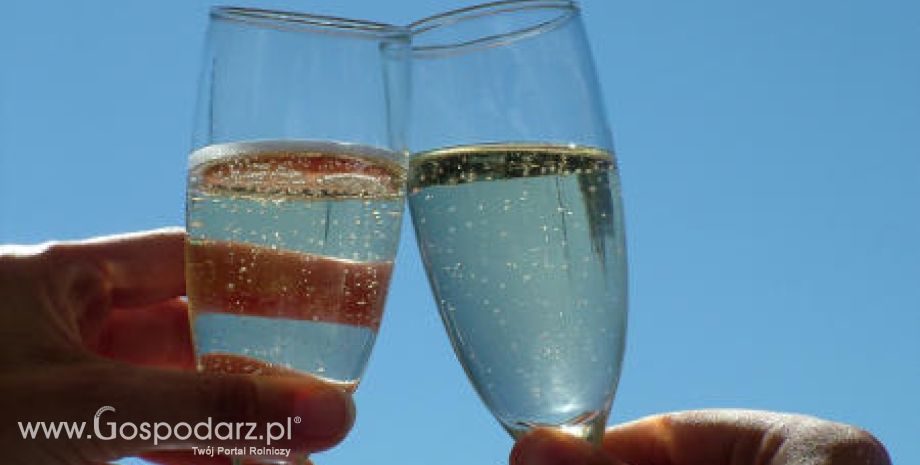 Zaledwie dwa procent polskich kobiet pije alkohol w sposób szkodliwy