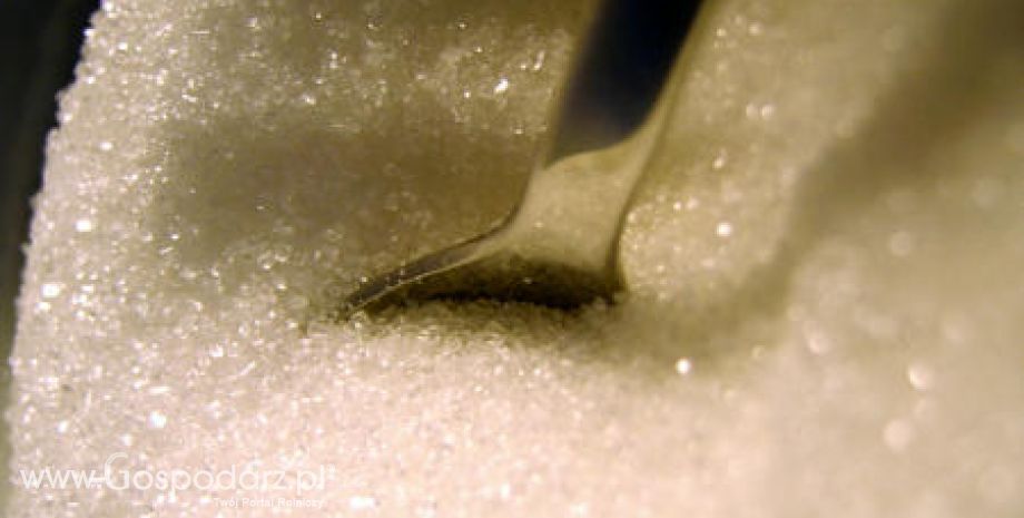 Krajowe ceny cukru