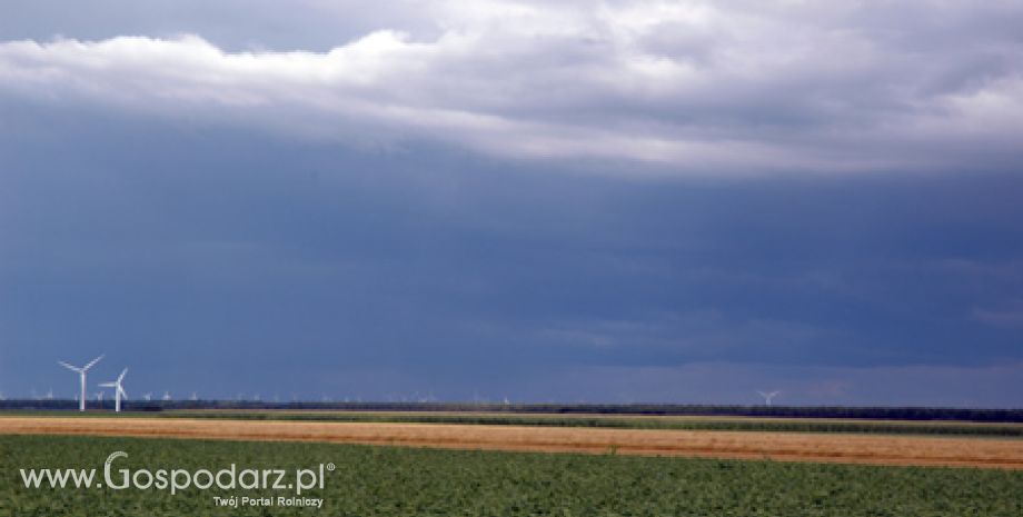 Jak to robią inni, czyli małe przetwórstwo za granicą