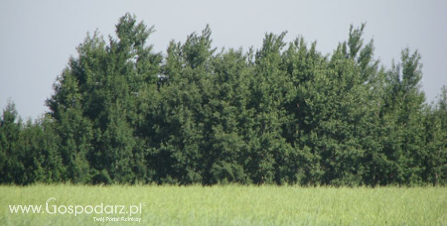 Preferencje na zakup ziemi dla rolników