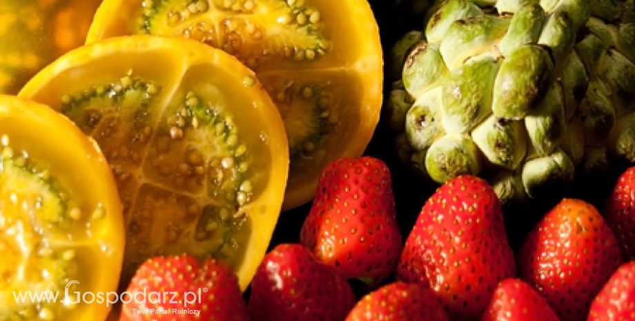 Informacja zbiorcza o wynikach kontroli planowej w zakresie jakości handlowej świeżych owoców i warzyw