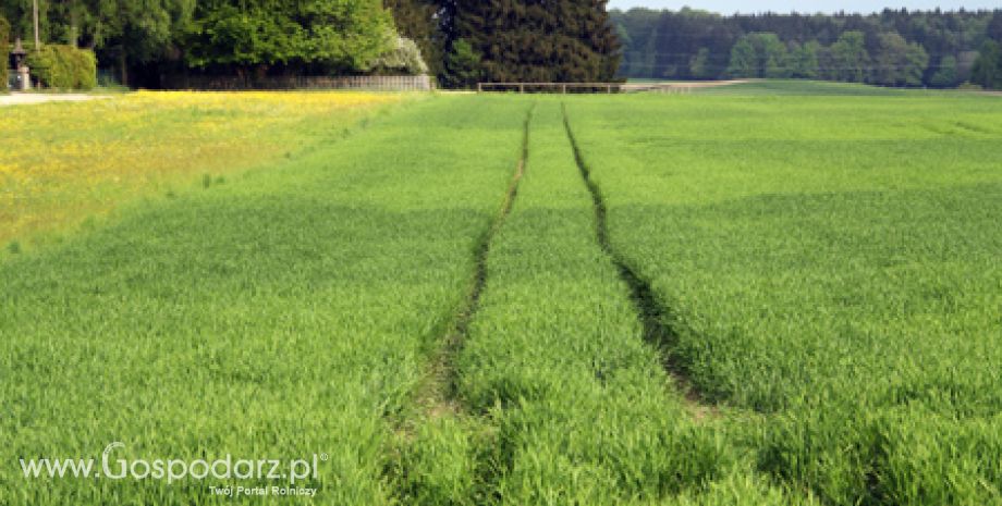 Kolejna edycja konkursu AgroLiga