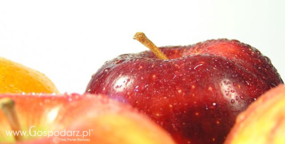 Program ochrony jabłoni dla produkujących owoce na rynek Federacji Rosyjskiej