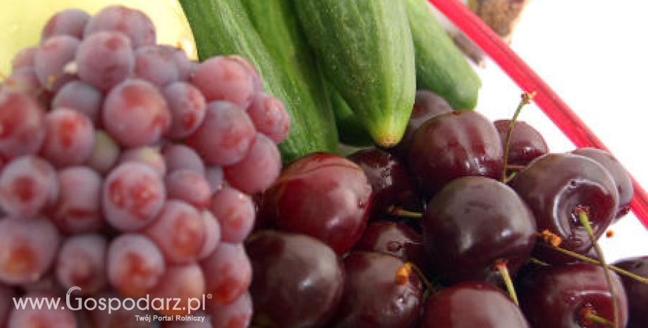 Rosja – Wzrost wolumenu importowego warzyw i owoców