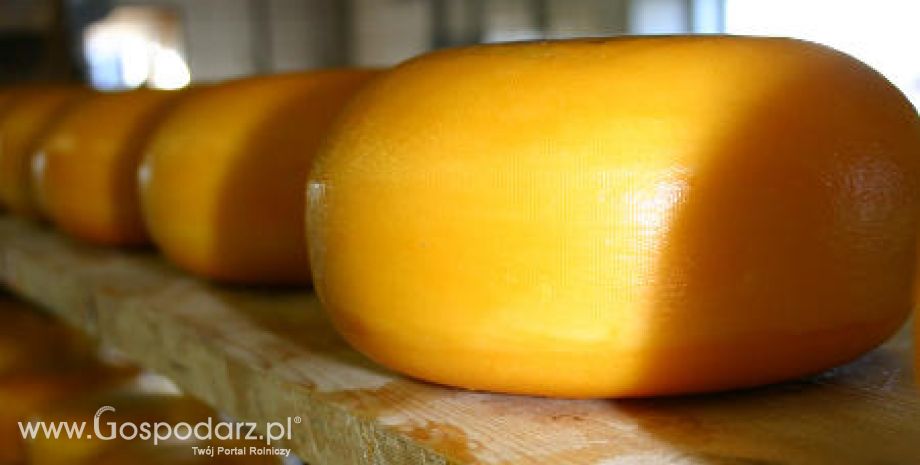 Większa produkcja polskich serów