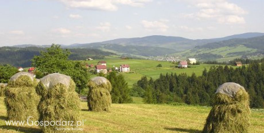 W Polsce jest coraz więcej bezrobotnych rolników